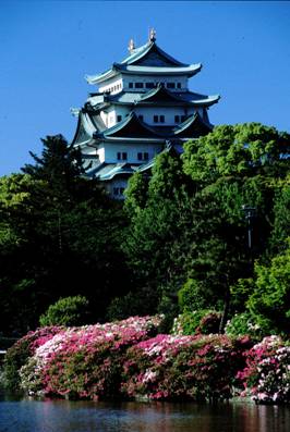 http://www.ncvb.or.jp/photo/image/big/tutuji.jpg
