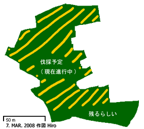 図:伐採予定地(7.MAR.2008,Hiro作図)