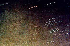しし座流星群(19-xi-2001 Hiro撮影)