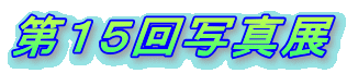 ��P�T��ʐ^�W