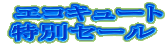  �G�R�L���[�g
���ʃZ�[��
