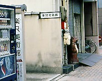 楽只美術館入口