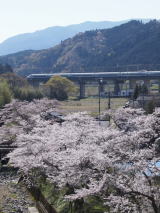 桜×JR西日本の700系