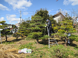 俊敏性を測る器具により能力を実感