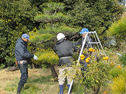 車には死角が多いことの説明