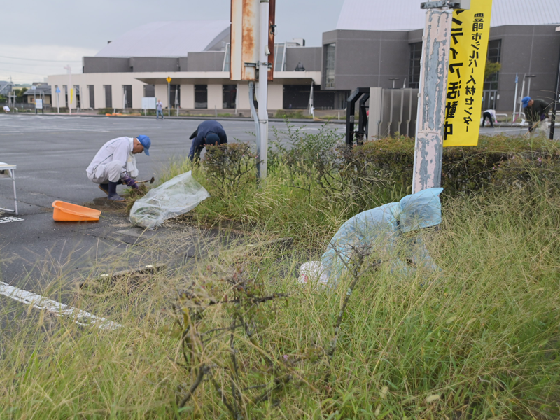 ボランティア活動