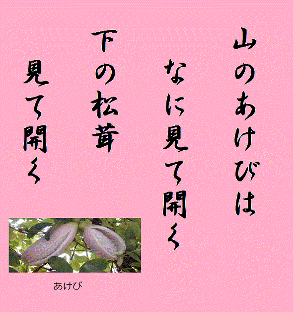 �R�̂����т͉����ĊJ�����̏������ĊJ��