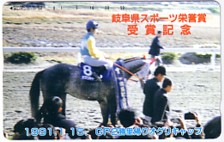 送料無料☆オグリキャップ パンドラの詩 未使用テレカ 12枚セット 未使用 サントリー ゴジラ 限定デザイン QUOカード（300円分）× 7枚