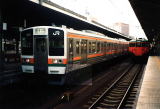 1991N̎p