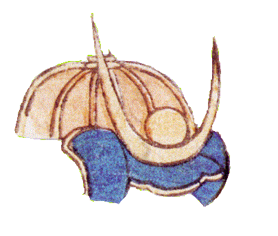 ̏㕔`Ă