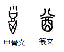 U