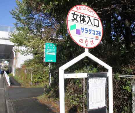 ̓oX